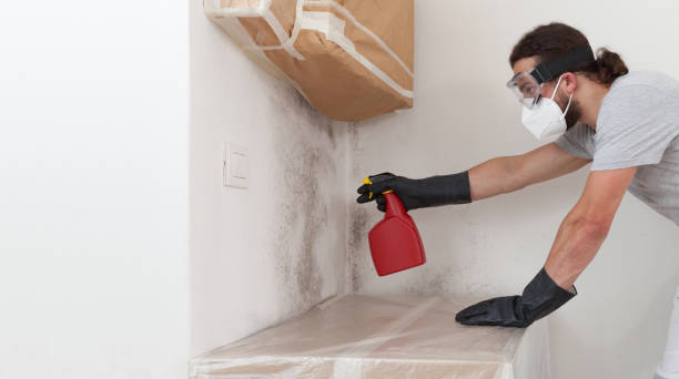 Professional Mold Testing technician working in Malverne, NY